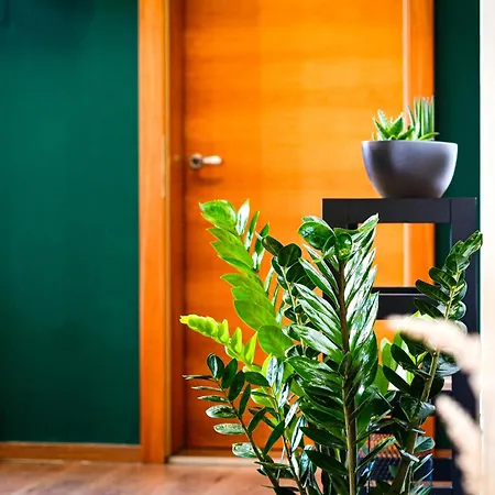 Alpenloft Apartament *